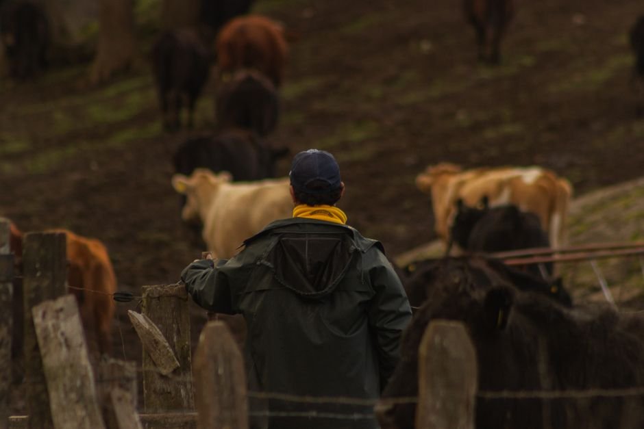 Understanding Stocking Rates for Small Acreage Ranchers