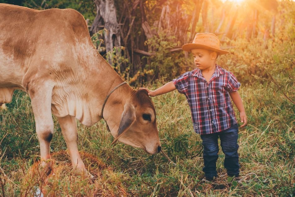 How Often Should You Use Cattle Terminology? A Practical Guide for Farmers and Ranchers