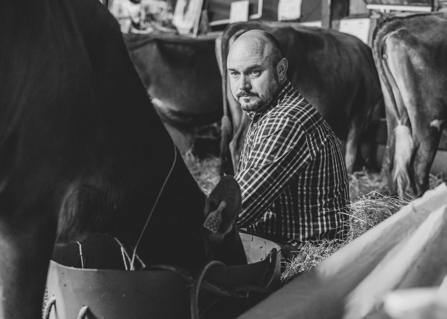 How to Accurately Age and Sex Cattle: A Practical Guide for Farmers and Ranchers